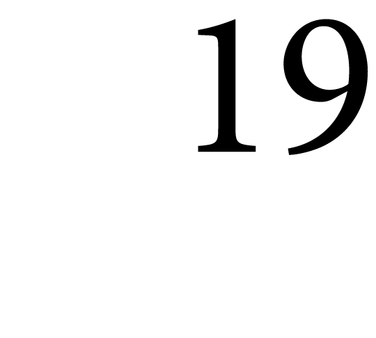 19