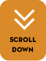 Scroll dow